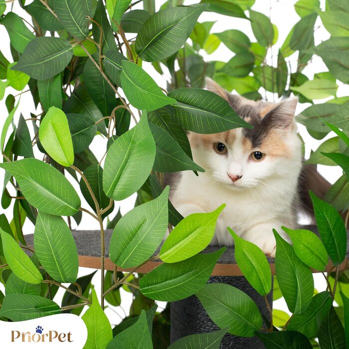 Дерево для котів Kratzbaum Natur - багатоярусне, з можливістю заміни листів, 160 см. Безпечні матеріали, міцне та запатентоване.