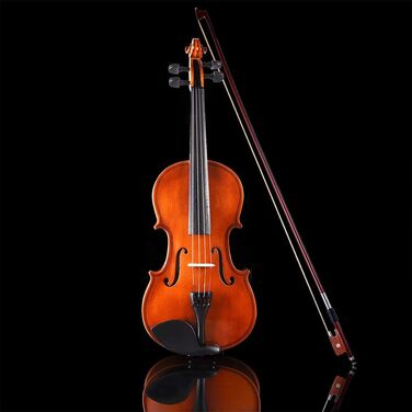 Скрипка Aileen Violine 4/4 для початківців (набір) - скрипка для дорослих та дітей (від 12 років) з інструкцією