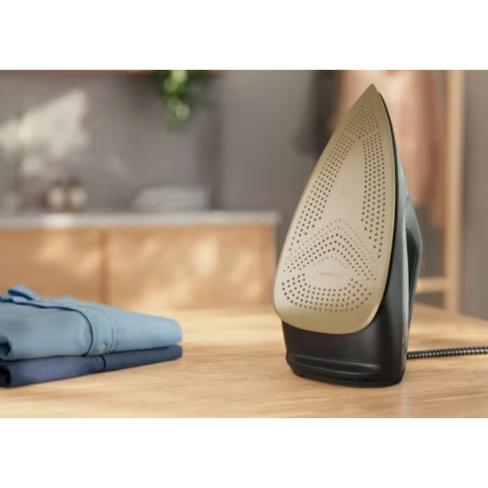 Парова праска Electrolux Renew 800 E8SI2-8OG з підсвічуванням, 250 г/хв