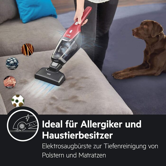 AEG Ergorapido CX7-2-45AN: Бездротовий пилосос 2-в-1, без мішка, з насадкою для шерсті тварин, 45 хв роботи, LED, червоний