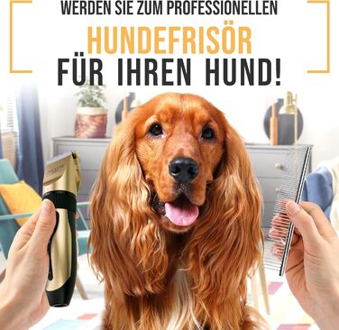 Набір для стрижки собак та котів: професійний триммер для густого хутра з низьким рівнем шуму, золотий