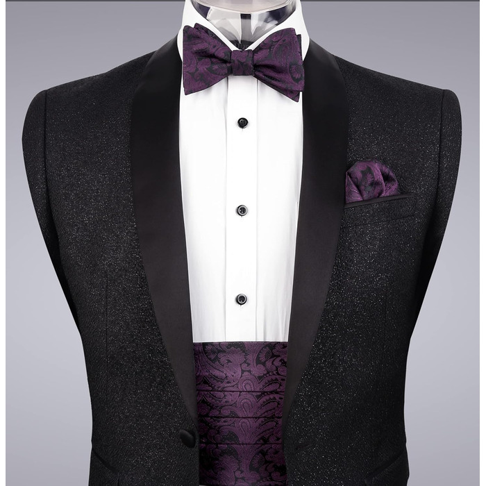 Комплект краватка-хустинка Alizeal Paisley (Aubergine) для чоловіків