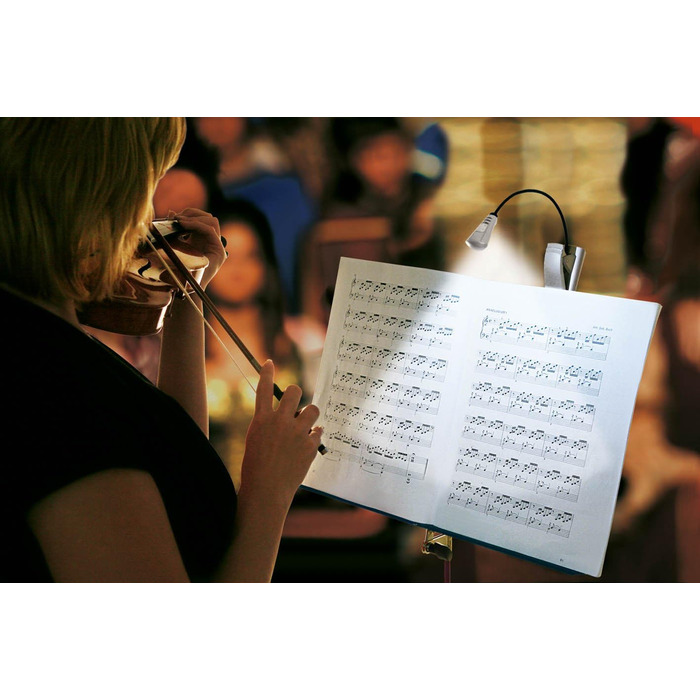 Лампа для читання та нот зі світлодіодом Wedo 2541054, срібляста (на батарейках)