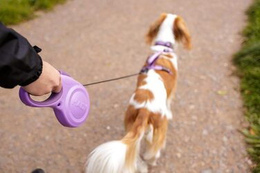 Шлейка для собак HATI Roeine з світловідбиваючим матеріалом, ергономічним дизайном та запатентованою застібкою. Підходить для великих собак (розмір ), фіолетовий, M