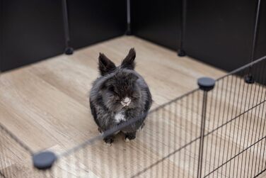 Kerbl Hopsi - сітка для клітки, 12 елементів, 35x35 см (пластикова стіна)