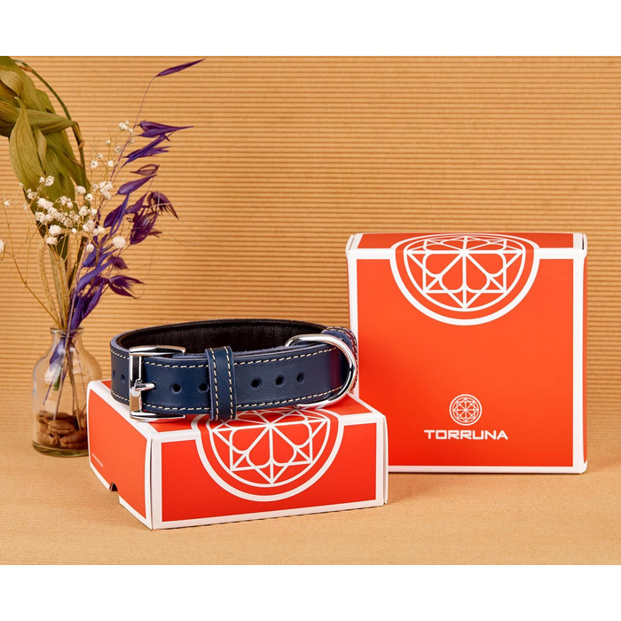 Нашийник для собак з м'якої шкіри, міцний та довговічний. Підходить для собак малих, середніх та великих порід. Колір: блакитний. Розмір: 28-36 см