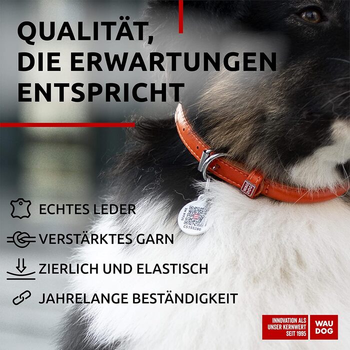Стильний шкіряний нашийник для собак WAUDOG: для малих, середніх та великих порід, 20-25 см, ширина 8 мм, оранжевий