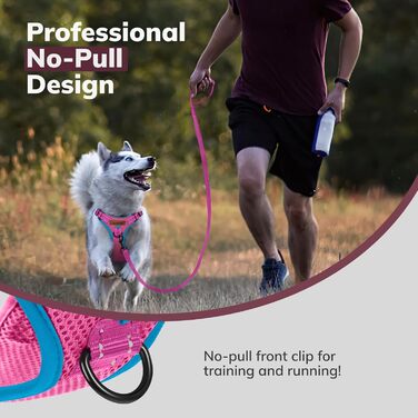 Нашийник для собак FAYOGOO з відбиваючими елементами, не тягне, м'який, з підкладкою, для маленьких, середніх та великих собак (рожевий, XS)