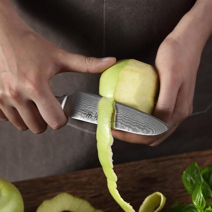 Професійний кухонний ніж Santoku Wakoli Edib Damast 12 см з 67-шарової дамаської сталі VG10, рукоятка з пакка-дерева, у подарунковій коробці