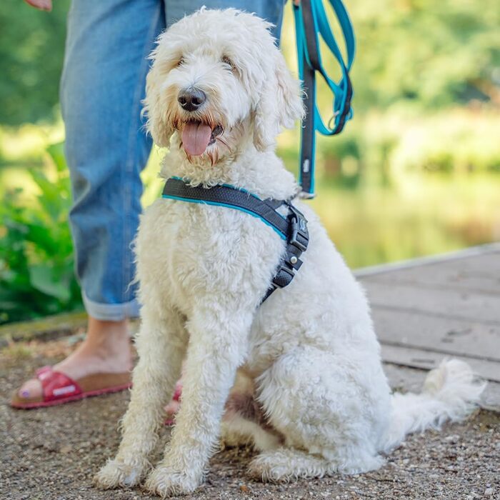 Набір посуду Nobby Norwegergeschirr Mesh Preno, блакитний, розмір L (60-76 см + 46 см; ширина 25/35 мм), 1 шт.