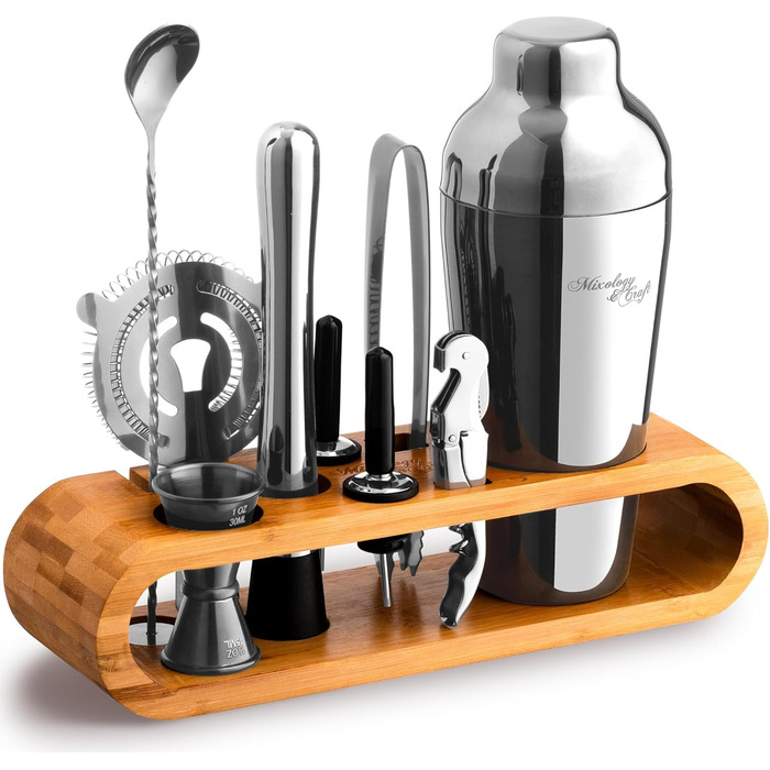 Stainless Steel Cocktail Shaker Set - 10 Piece Mixology Set with Bamboo Stand - Silver Bar Accessories Gift Set