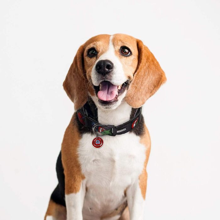 Нашийник для собак Cerdá Marvel, маленькі породи, офіційний ліцензований товар (M/L, 1 шт.)