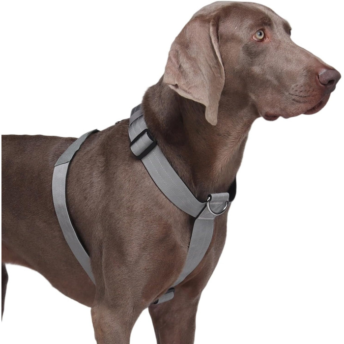Шлейка для собак FEimaX для великих собак, тактична, не тягне, дихаюча, комфортна, сіра, міцна