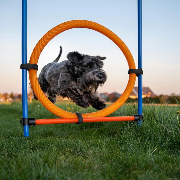 Набір для аджиліті для собак Relaxdays, 76 елементів, регульовані бар'єри, обруч, стійки для слалому, сумка, блакитний/помаранчевий