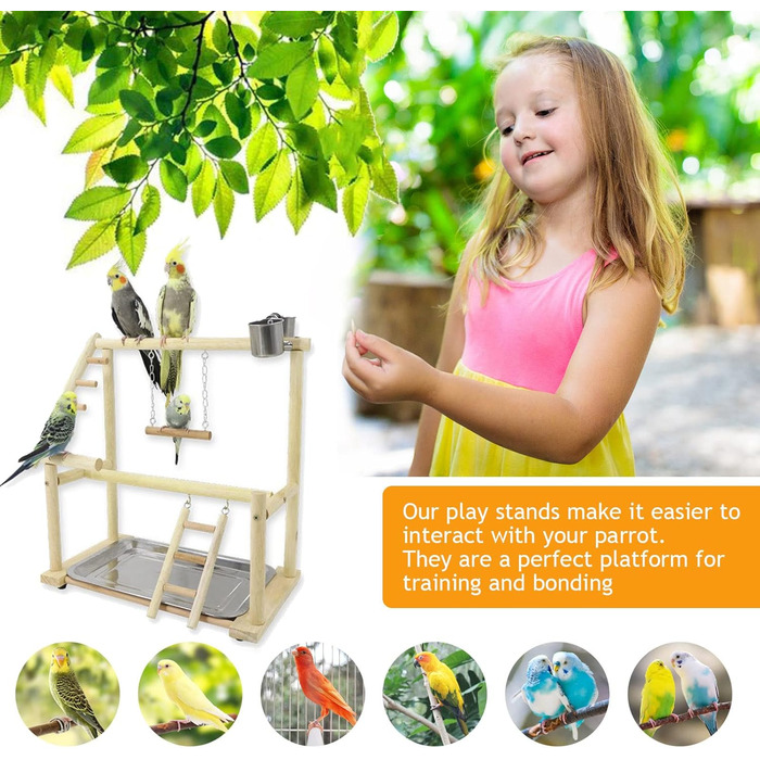 Bird Playground, budgie toys, bird playground stand, bird gym, bird accessories, climbing frame with ladder, running grid with feeder cups, tray, swing for parakeets, wavy parrots, finches, etc. (#7)