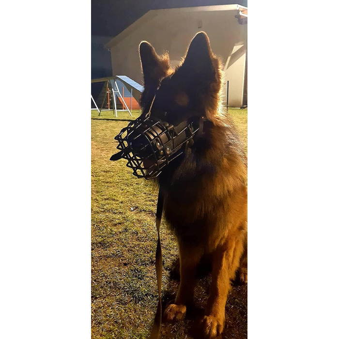 Dingo Gear Rubberized Metal Dog Muzzle for Malinois - Professional, Comfortable, Universal for Long Walks (S03048 Malinois L)
