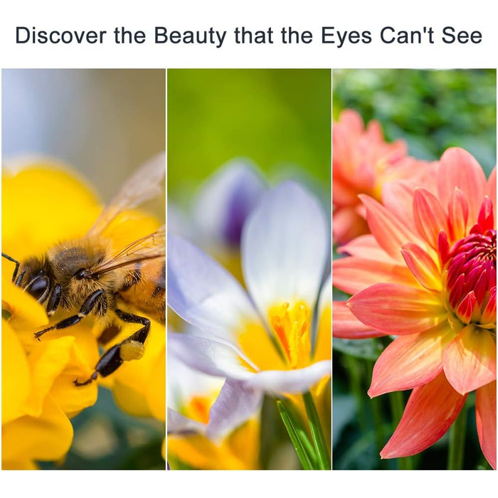 Набір фільтрів макрозйомки Close-up 49mm (x1, x2, x4, x10) для Canon, Nikon, Sony, Pentax, Olympus, Fuji DSLR камер