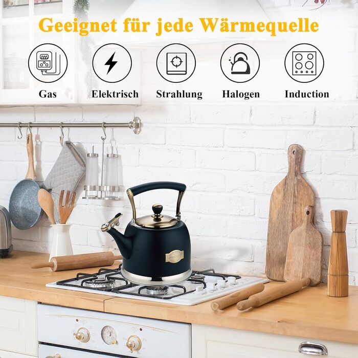 Чайник для кемпінгу з нержавіючої сталі 3L, з носиком, для плити та індукції, чорний