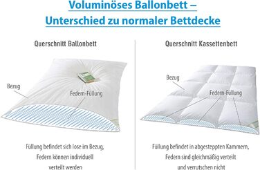 Зимова ковдра franknatur Ballonbett 135x200 см, 100% нові гусячі пера, 3000 г, пухова ковдра