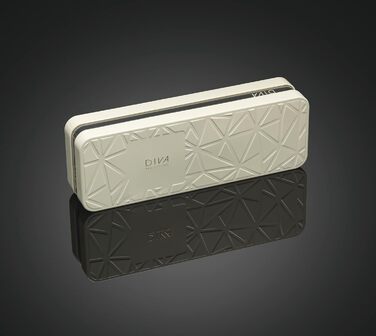 Випрямляч для волосся Diva Pro Styling Precious Metals Touch - Titanium PRO202