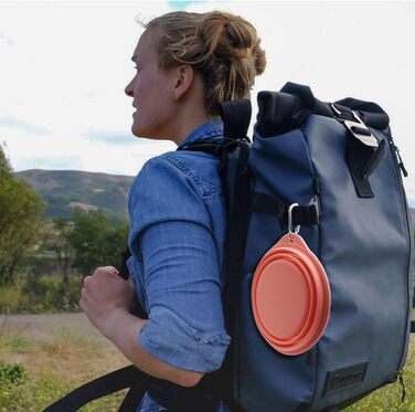 SLSON 2 миски для собак та котів, інтегровані, складні, без краю, з пластику, 600 мл (сірий + рожевий)