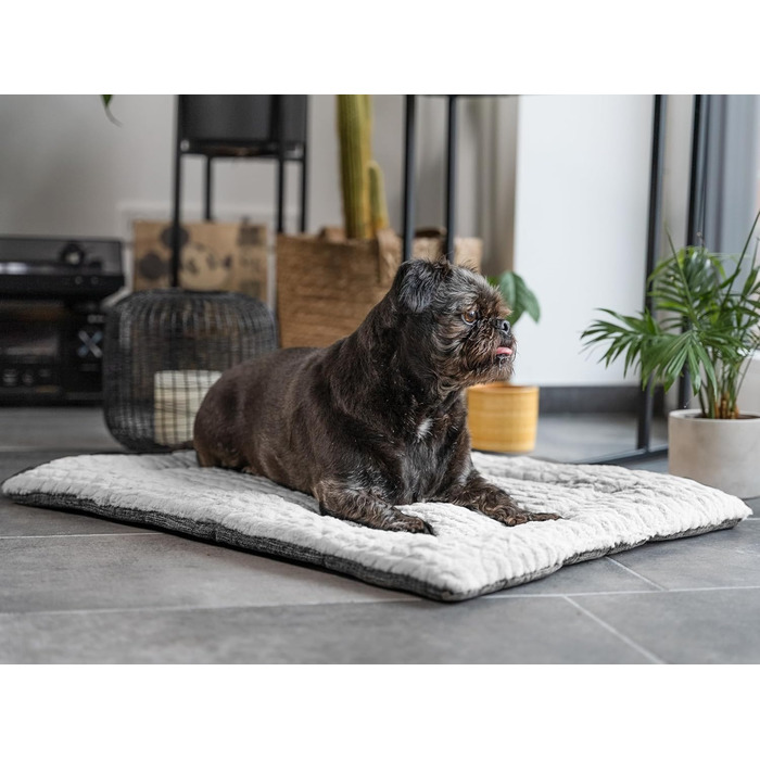 TrendPet Лежанка для собак і котів, двостороння, з підкладкою, сіра (50x35 см)