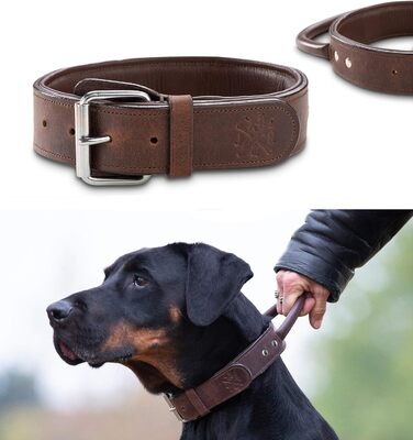 Преміум шкіряний нашийник для собак Джек Рассел з ручкою - надійний нашийник з натуральної шкіри для собак (L, 48.0-60.0 см)