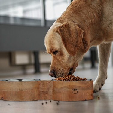 Relaxdays Dog Bowl with 2 Bowl Inserts