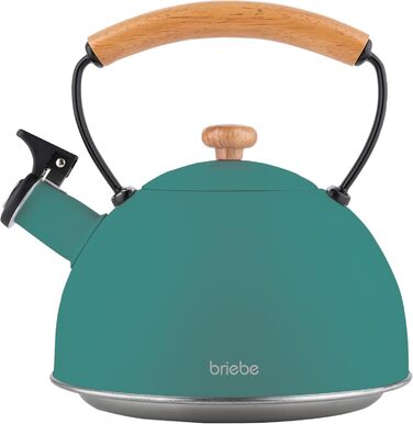 Чайник Nordic Wasserkessel Induktion 2.3L з нержавіючої сталі, з свистком, для чаю та кави, сумісний з усіма типами плит (індукційні, склокерамічні, газові, електричні), з дерев'яною ручкою Cool-Touch, ретро дизайн, зелений