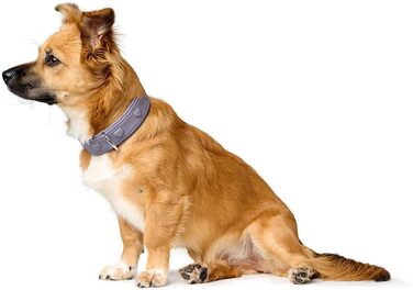 Нашийник для собак HUNTER SOHO X Love, фіолетово-сірий, з натуральної шкіри, м'який, з сердечками, для маленьких собак та цуценят, Made in Germany, розмір 42