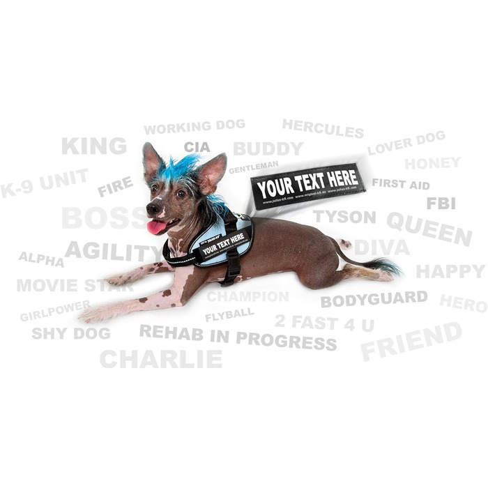 Шлейка Julius-K9 IDC Powergeschirr для собак Ameri-Canis, розмір M/0 (обхват грудей 58-76 см), з двома патчами