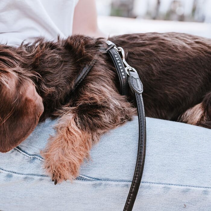 Нашийник для собак HUNTER Round & Soft Canadian UP, чорний, м'яка шкіра, безшовний, для догляду за шерстю, екологічний, Made in Germany, розмір XXS-XS