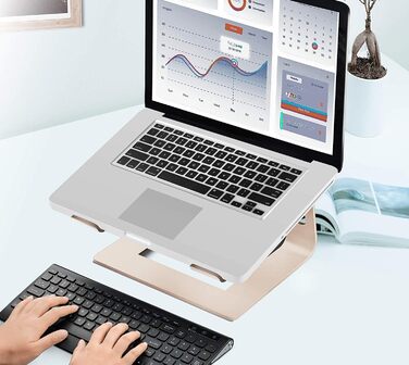 Підставка для ноутбука Orionstar, ергономічна, алюмінієва, з вентиляцією, сумісна з MacBook, Samsung, 10-15.6 дюймів, сіра (золота)