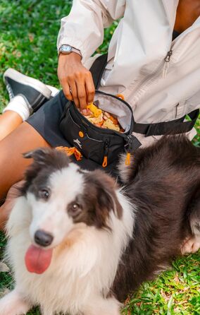 ОлліДог Backcountry Tagestasche - сумка для ласощів та відходів для собак, з кліпсою на пояс, Raven S'25