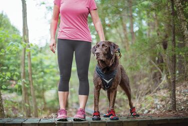 Kurgo Blaze Cross Dog Shoes, For Paw Protection, For Every Season, Waterproof and Reflective, Size XL, Red X-Large