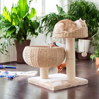 Kratzbaum Banana Leaf with Natural Sisal – 55 cm Cat Tower with 8 cm Thick Sisal Post, Incl. Soft Wool Cushion – Insect and mold resistant, robust & easy to care for