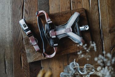 Нашийник для собак HUNTER Neopren, розмір L, персиковий/сірий, з неопрену, 3M Scotchlite, комфортний