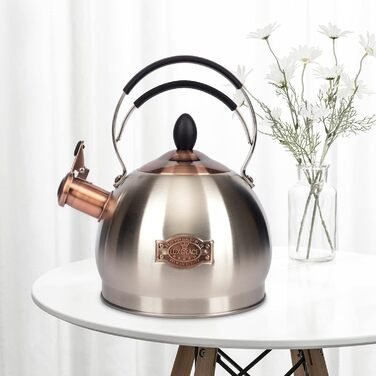 Вінтажний чайник-свисток з нержавіючої сталі 2.6L, ретро дизайн, з ручкою (сріблястий)