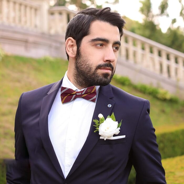 Метелик чоловічий (10 шт.) багатокольоровий, класичний для смокінга, регульований, формальний для бізнесу, весілля, хлопчиків