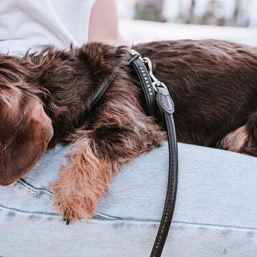 Нашийник для собак HUNTER Round & Soft Canadian UP, чорний, м'яка шкіра, безшовний, для догляду за шерстю, екологічний, Made in Germany, розмір XXS-XS