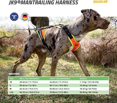 Нашийник для дратхаунда Juliu-K9 Mantrailing 19MTR з неоновим кантом (XS, помаранчевий)