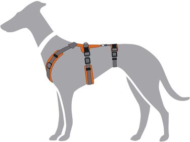 Нашийник для собак Maldon, розмір S-M, оранжево-сірий