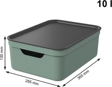 Rotho Jive 3-Piece Storage Box Set, 10L with Lid, Plastic, Anthracite (Green)