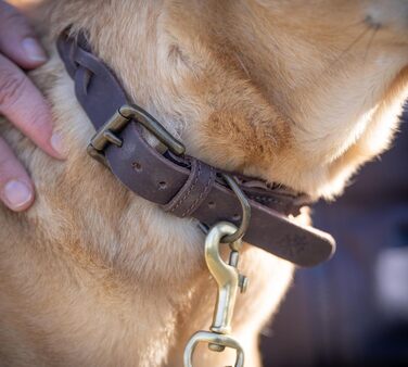 Сплетене шкіряне нашийник для собак – міцний ручної роботи, з високоякісної шкіри буйвола, Clarissa (M (36.0-45.0cm))