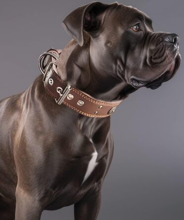 Leather Dog Collar, 5 cm Wide Robust Genuine Leather Collar, Handcrafted, Soft and Luxurious, Eye-Catching Best Choice for Large and Medium Dog Breeds 57-67.5 cm