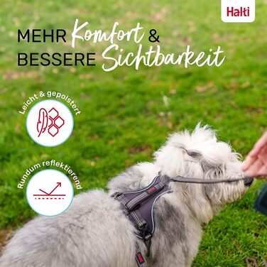 HATI Anatomy Dog Harness with Handle – Freedom of Movement for Your Dog. 3 Connection Points, Neoprene Padding, Adjustable and Reflective (Size Construction Green) (Gray, XL)