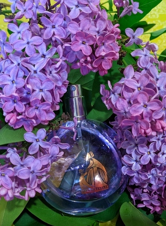 Парфумована вода Lanvin Éclat D'Arpege, 100 мл