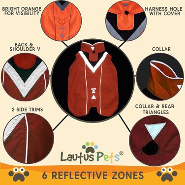 Lautus Pets Dog Raincoats, Waterproof, Reflective, Light-Colored with Leash Hole (Orange, S)
