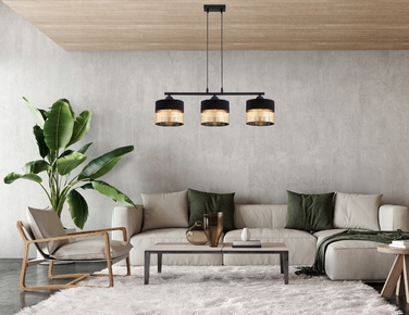 Підвісна люстра Elko-Lighting Dual на 3 точки освітлення E27