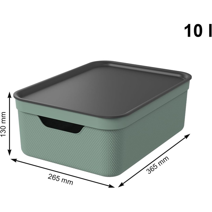 Rotho Jive 3-Piece Storage Box Set, 10L with Lid, Plastic, Anthracite (Green)